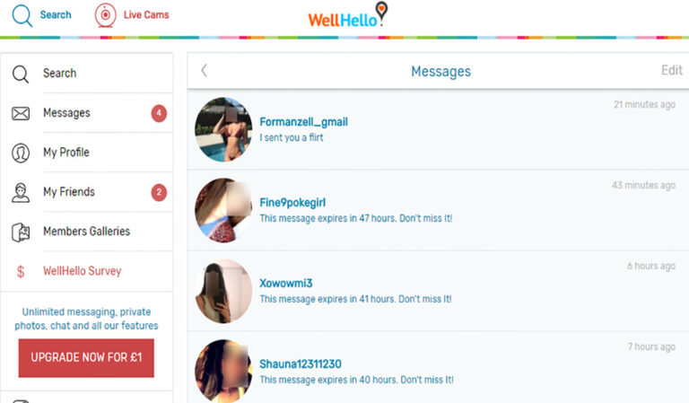 Finding Romance Online – 2023 WellHello Review
